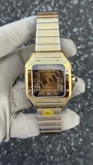 Cartier Santos "Altınlı", 1. görsel