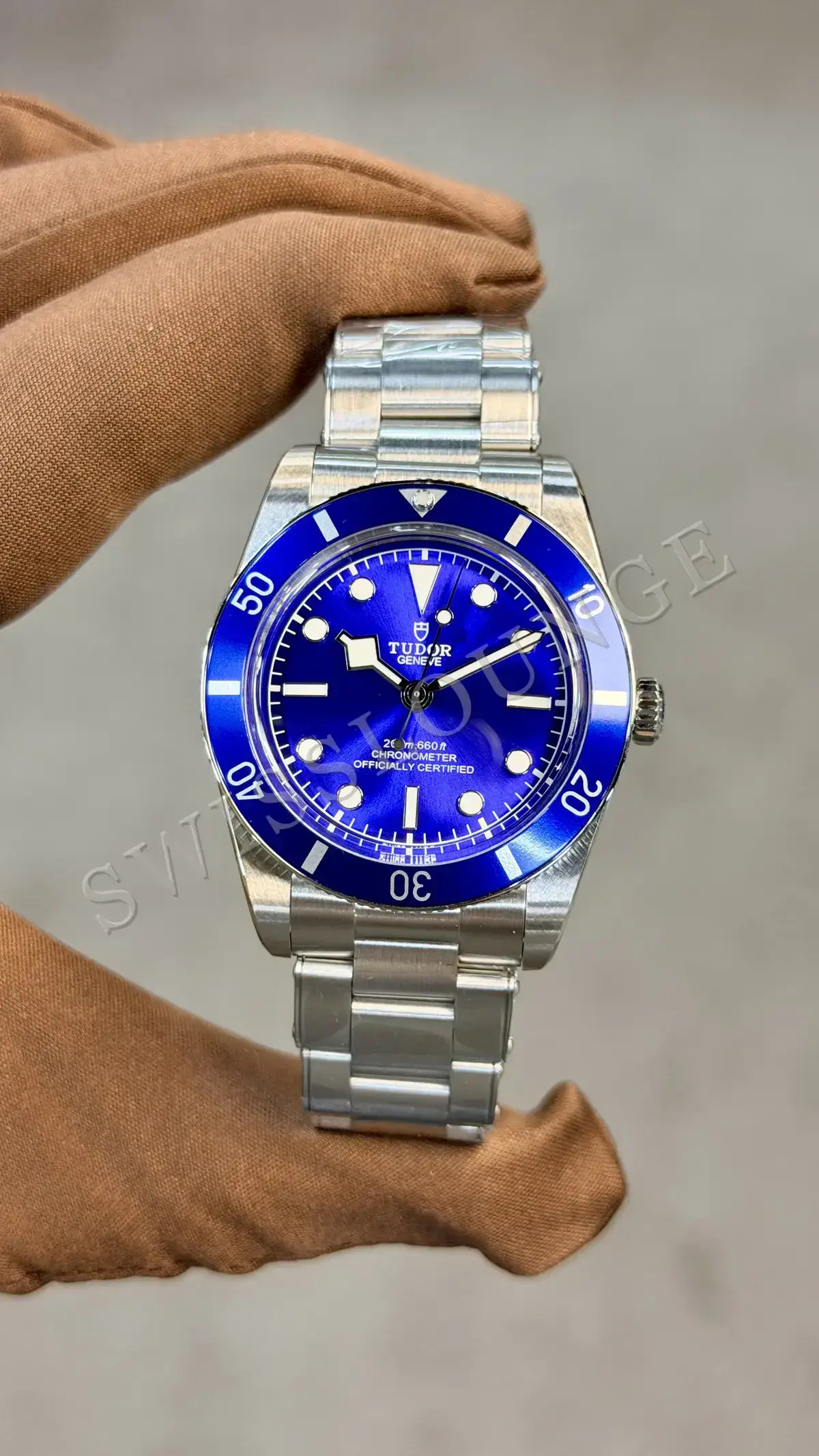 Tudor Black Bay "Mavi Kadran Mavi Bezel"