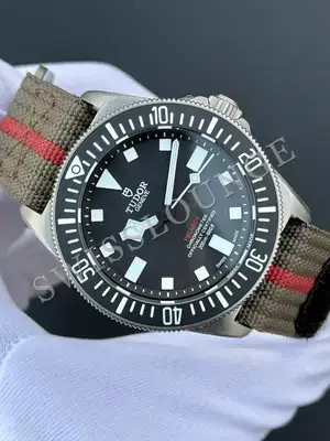 Tudor Pelagos "Fxd" — 2. görsel