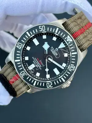 Tudor Pelagos "Fxd" — 3. görsel