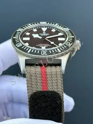 Tudor Pelagos "Fxd" — 4. görsel