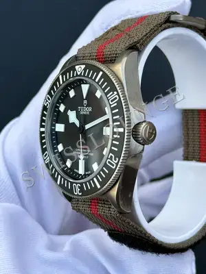 Tudor Pelagos "Fxd" — 6. görsel